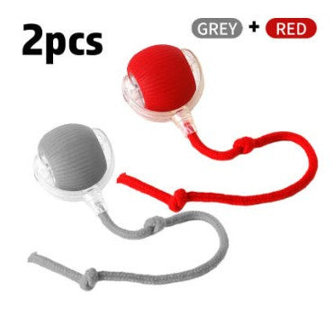 Interactive Cat Toy Ball Super Drive Cat Rolling Ball by DC-THE CEO