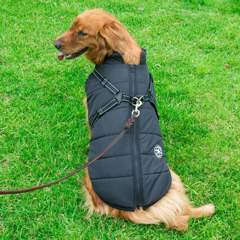 Dog Clothes Chest Back Integrated Cotton Vest Pet Cotton Clothes Winter Clothes by DC-THE CEO