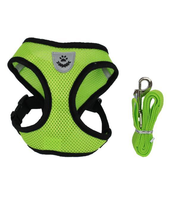 Pet Car Seat Belt Pet Leash by DC-THE CEO