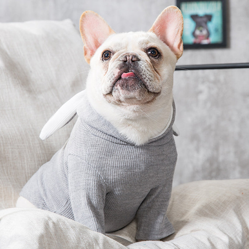 Dog Pet Clothes Spring And Autumn Clothing by DC-THE CEO