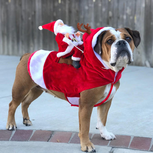 Dog Christmas Clothes Santa Claus Riding Deer by DC-THE CEO