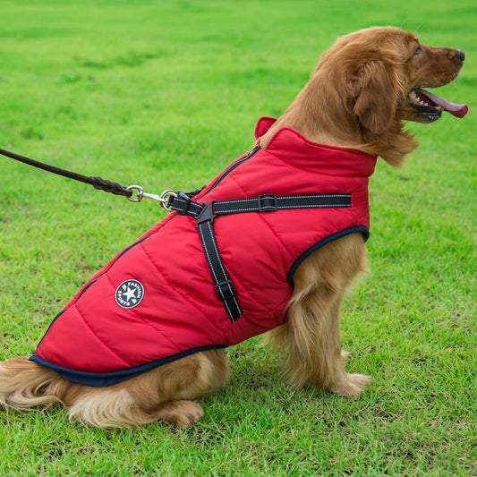 Dog Clothes Chest Back Integrated Cotton Vest Pet Cotton Clothes Winter Clothes by DC-THE CEO