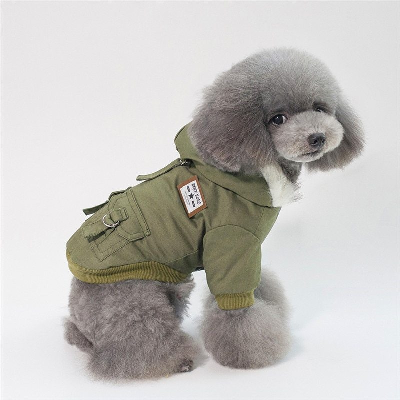 Cap dog coat by DC-THE CEO