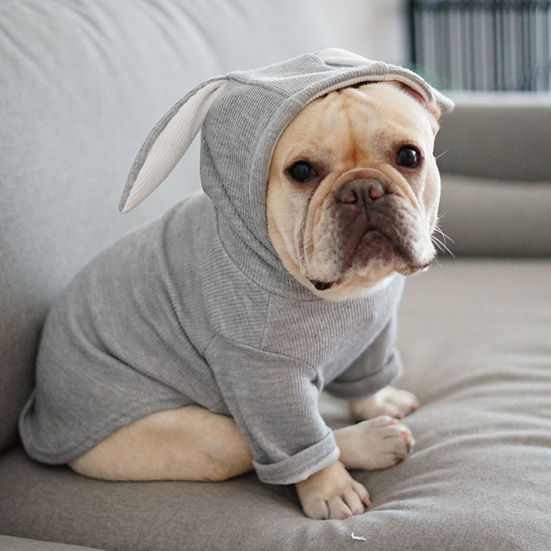 Dog Pet Clothes Spring And Autumn Clothing by DC-THE CEO