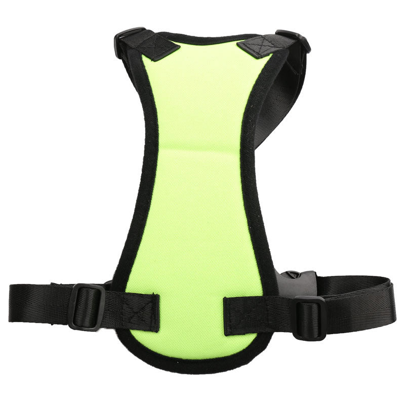 Car seat belts for pets by DC-THE CEO