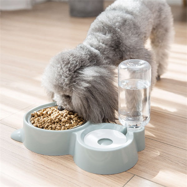 Dog bowl by DC-THE CEO