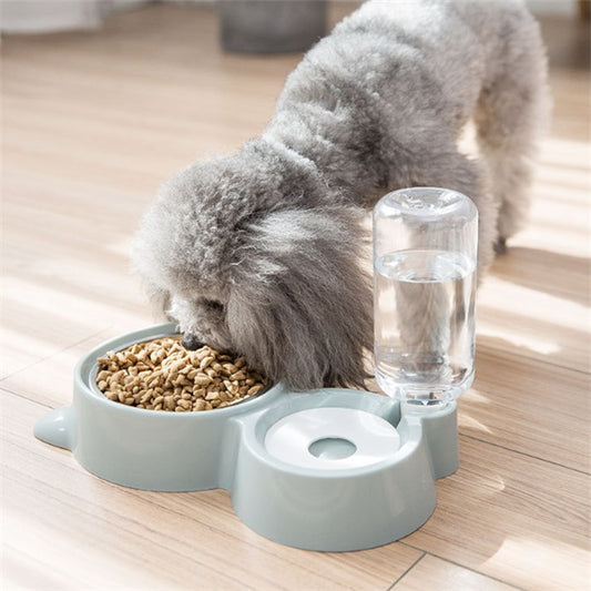 Dog bowl by DC-THE CEO
