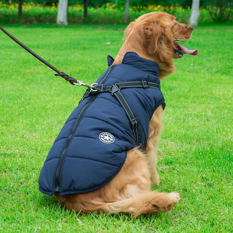 Dog Clothes Chest Back Integrated Cotton Vest Pet Cotton Clothes Winter Clothes by DC-THE CEO