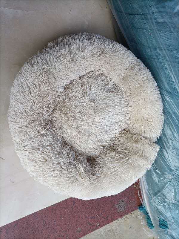 Pet sleep bed by DC-THE CEO