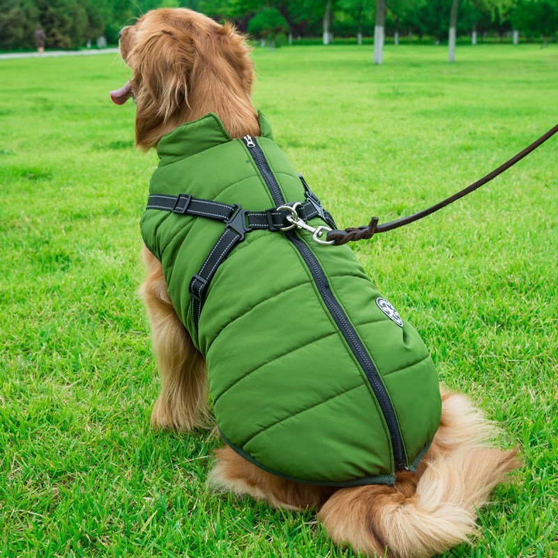 Dog Clothes Chest Back Integrated Cotton Vest Pet Cotton Clothes Winter Clothes by DC-THE CEO