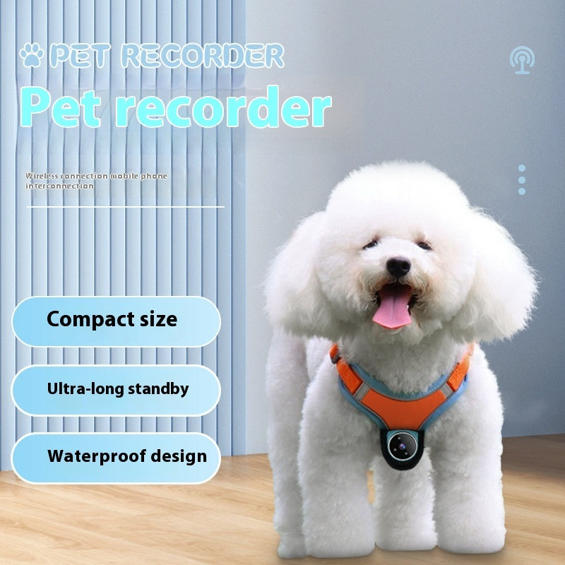 Pets Recorder Pet Tracker Collar Dogs And Cats Viewing Angle Motion Recording Camera Action Camera With Video Records Cat Collars Camera Sport Pet Products by DC-THE CEO