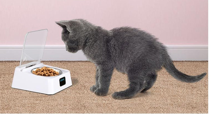 Pet 5G Bowl Automatic Pet Feeder by DC-THE CEO