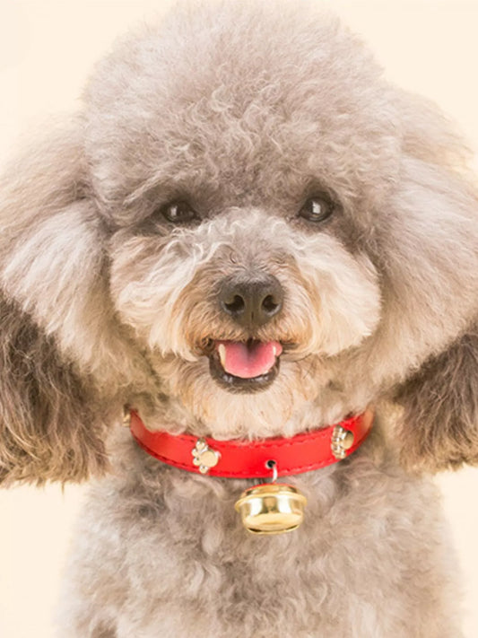 Leather Pet Collar with Bell by Trendsi