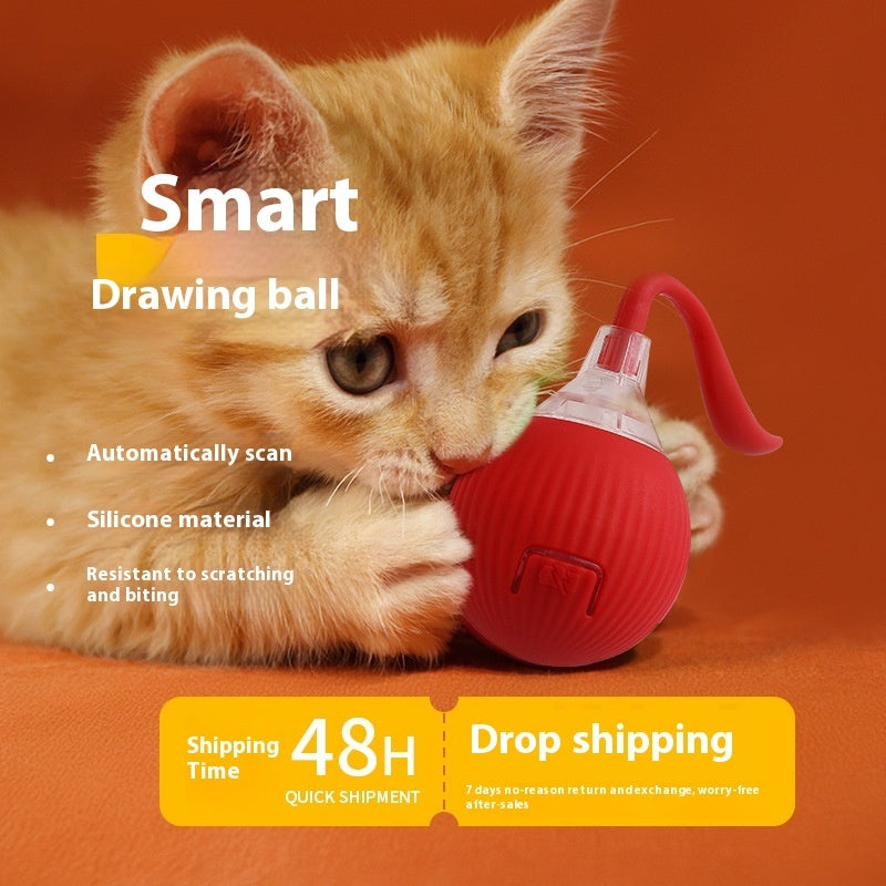 Interactive Cat Toy Ball Super Drive Cat Rolling Ball by DC-THE CEO
