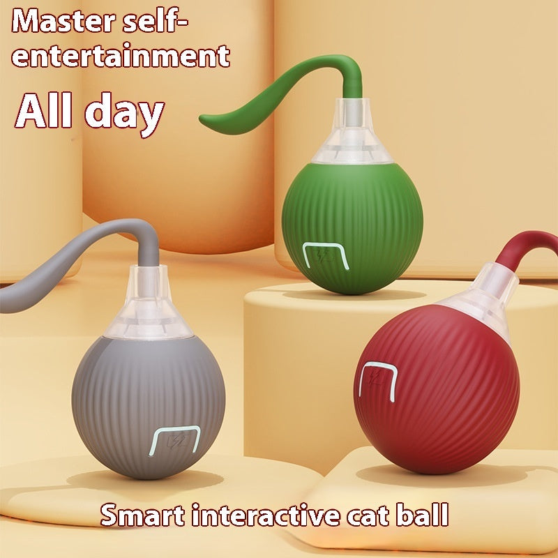 Interactive Cat Toy Ball Super Drive Cat Rolling Ball by DC-THE CEO